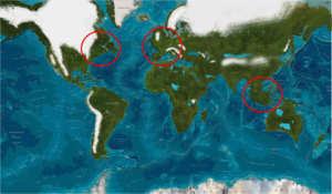 Ice Age Sea Levels. Notice the landmasses near Indonesia, North America and Europe.